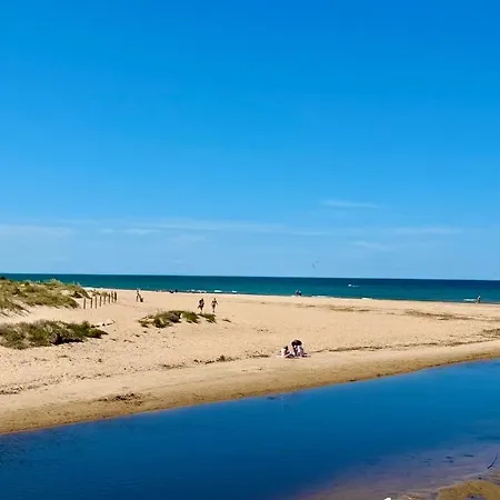 Rivera Dénia